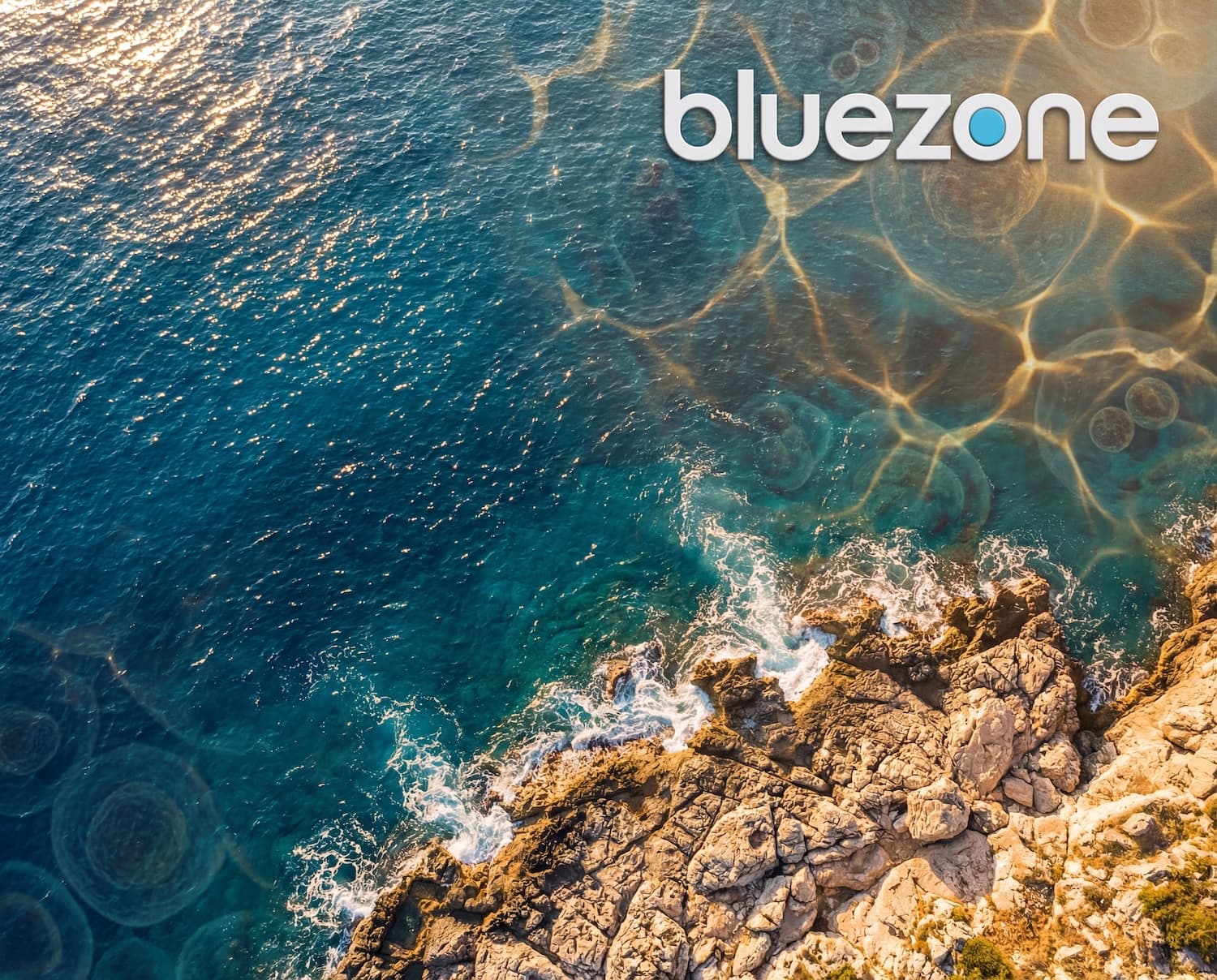 Bluezone Longevity Retreat — team at a luxury Mallorca estate