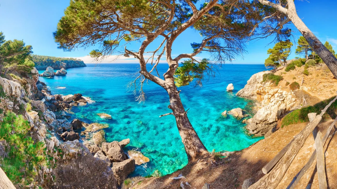 Mallorca coastline near Illetas — Mediterranean sea and pine trees